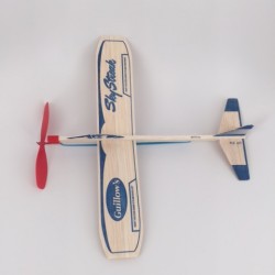 Sky Streak Powered Planes